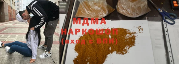 прущие грибы Покачи