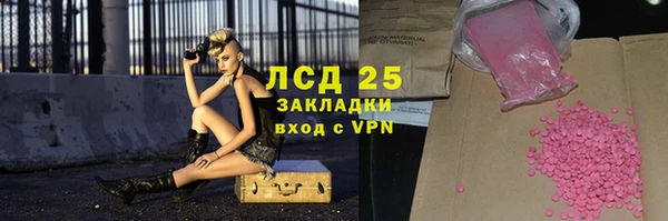 СК Алексин