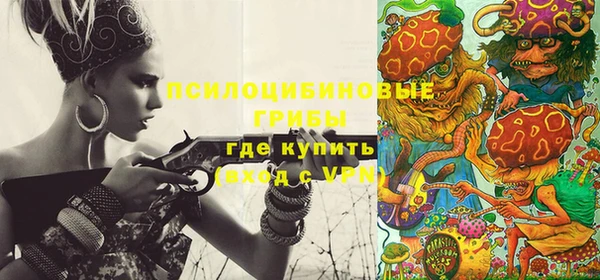 ГАЛЛЮЦИНОГЕННЫЕ ГРИБЫ Арсеньев