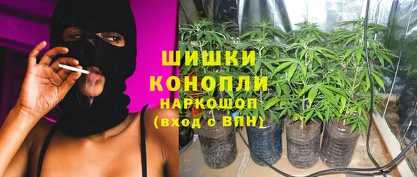 СК Алексин