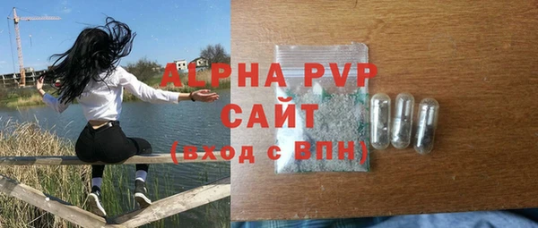СК Алексин